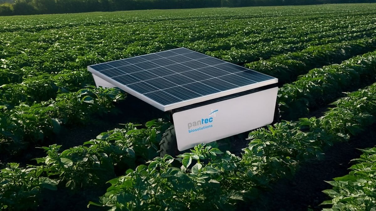 Montato su una piattaforma autonoma, il sistema DLT consente il controllo laser di infestanti e parassiti nella coltivazione della patata